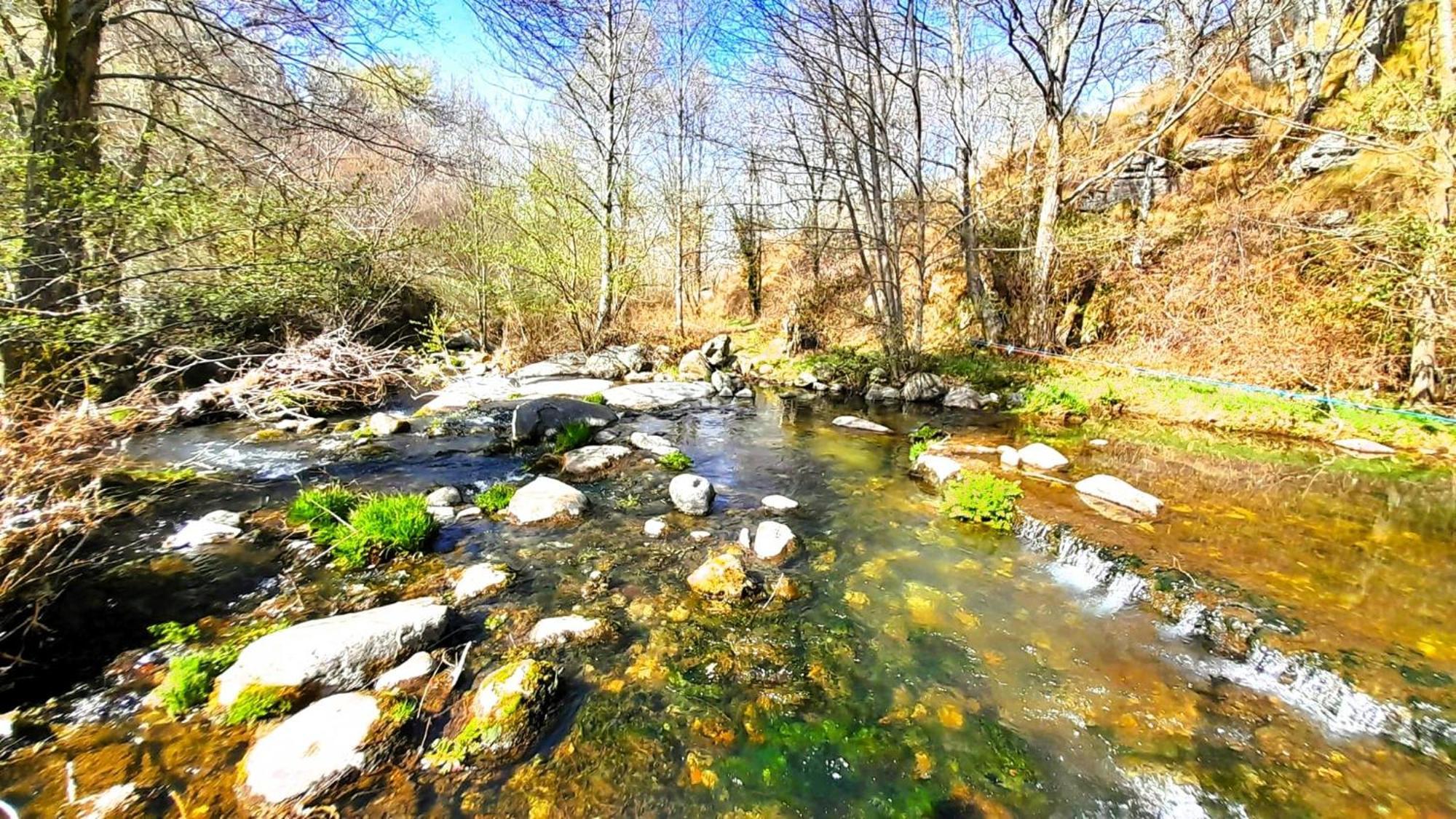 La Casona Daire Serranillos Dış mekan fotoğraf